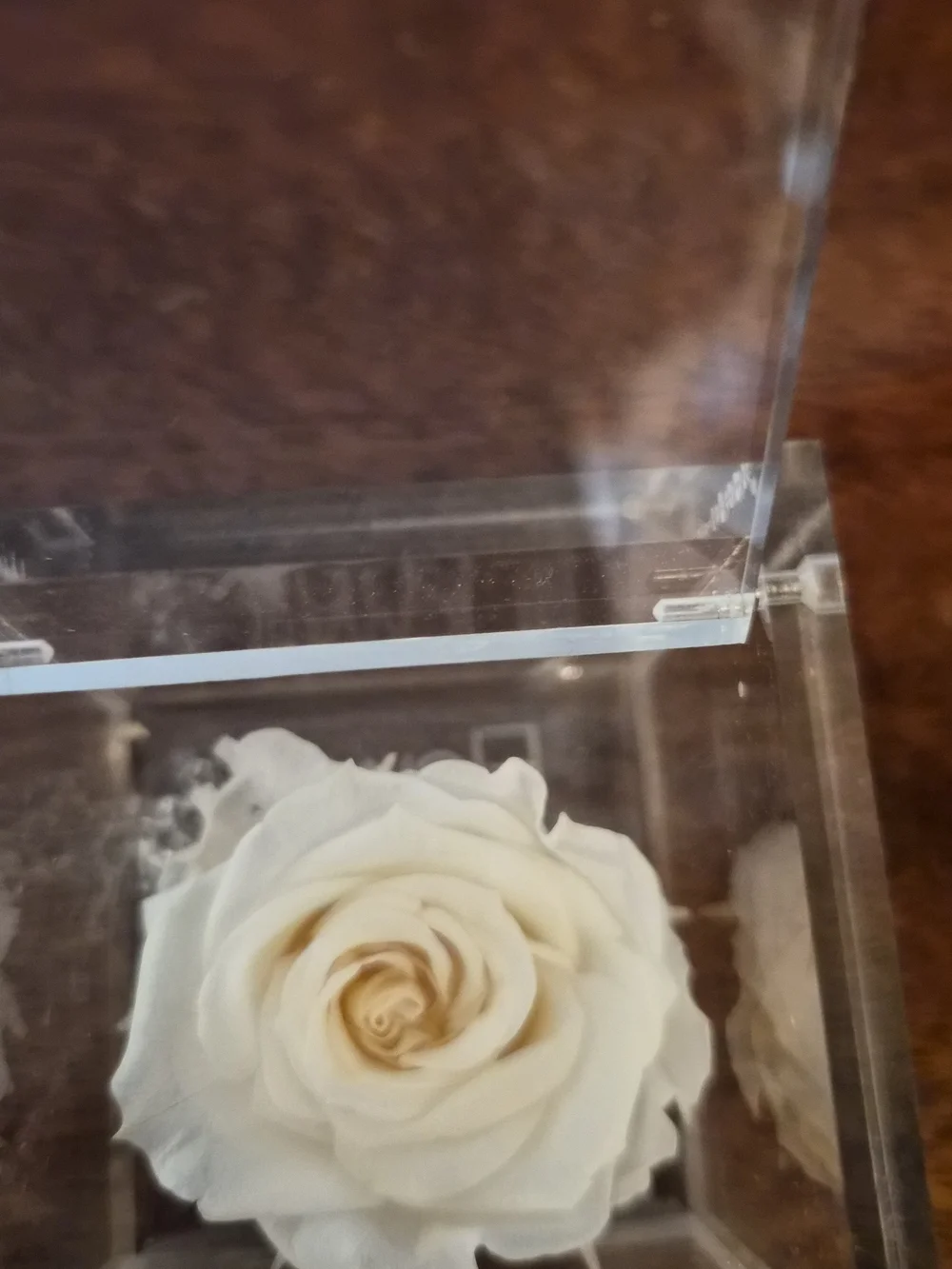 Preserved Cream Rose in Clear Acrylic Cube - Floral Keepsake